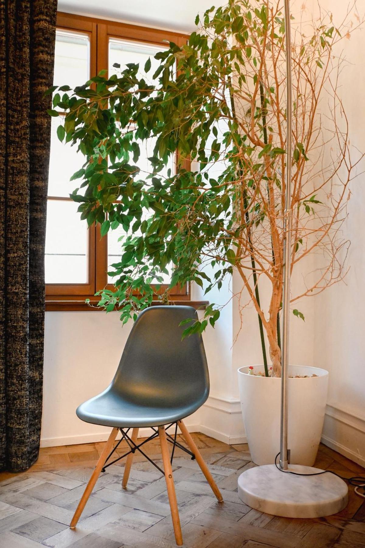 Apartamento Rue Des Veaux - Quartier Cathedrale Estrasburgo